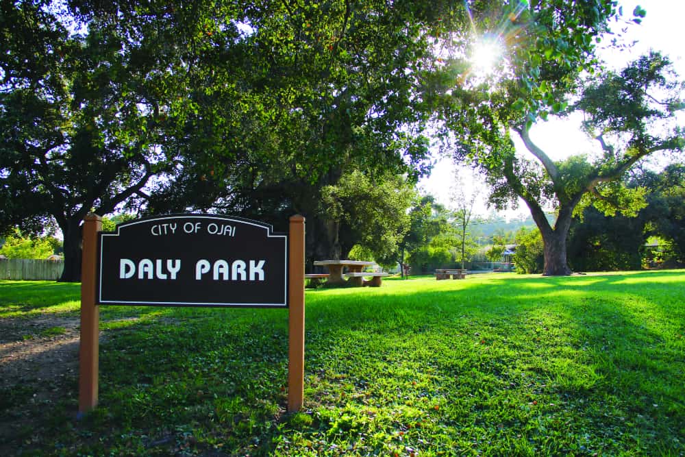 Daly-Park3